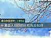 《測<i>戀人</i>對你的任性有多包容》测试