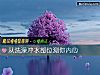 《從洗澡沖水部位測你內心》测试