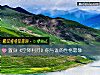 《置身《空降利刃》你與誰的<i>性格</i>最像》测试
