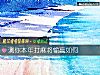《測你本年打麻將輸贏如何》测试