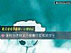 《測你當老師適合教<i>哪個</i>年級的學生》测试