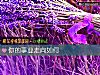 《你的事業走向如何》测试