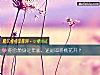 《你會單身近年底，還是即將<i>桃花</i>開？》测试