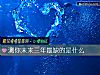 《測你未來三年最缺的是什麼》测试