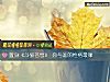 《置身《鬥破蒼穹》 你與誰的<i>性格</i>最像》测试