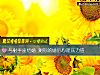 《與射手座結婚 測你的<i>婚後</i>心理壓力值》测试