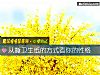 《從撕衛生紙的方式看你的<i>性格</i>》测试