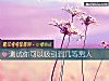 《測試你可以吸引到幾等<i>男人</i>》测试