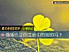 《<i>婚姻</i>會是你生命中的枷鎖嗎？》测试