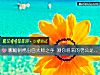 《哪幅刺繡出自大師之手 測你將來的<i>老公</i>是何種人》测试