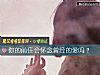 《你的<i>前任</i>會懷念曾經的愛嗎？》测试
