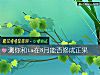《測你和ta在8月能否修成正果》测试