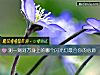 《測一測對方身上的<i>哪個</i>閃光燈最合你的心意》测试
