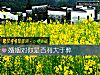 《<i>婚姻</i>對你是否利大于弊》测试