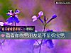 《看看你的男<i>朋友</i>是不是媽寶男》测试