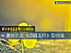 《測你會是《虎嘯龍吟》裏的誰》测试