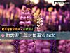 《你需要幾年才能事業有成》测试