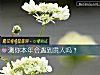 《測你本年會<i>遇到</i>貴人嗎？》测试