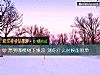 《想到哪棵樹下乘涼 測你什麼時候能<i>脫單</i>》测试