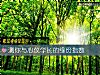 《測你與心儀學長的緣份<i>指數</i>》测试