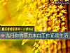 《九月你的壓力來自<i>工作</i>還是生活》测试