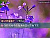 《測你如何做能在<i>愛情</i>裏長期贏下去》测试