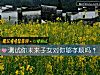 《測試你未來子女對你夠孝順嗎？》测试