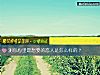 《測你心裏最<i>想要</i>的戀人是怎麼樣的？》测试