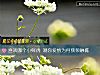 《喜歡<i>哪個</i>小鮮肉 測你愛情爲何頻頻觸礁》测试