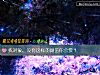 《找<i>對象</i>，沒有這樣的顔值你會要？》测试