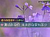 《測試你身價 未來的身家有多少》测试