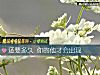 《還要<i>多久</i> 你的他才會出現》测试