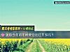 《測你今年的<i>年終獎</i>會比往年多嗎？》测试