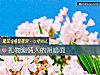 《禮物測<i>情人</i>的陰暗面》测试