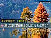 《測試你<i>對象</i>的父母能接受你嗎？》测试