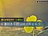 《測你本年搭讪<i>成功率</i>是多少》测试