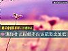 《測你<i>什麼時候</i>不應該把姿態放低》测试