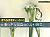 《測你男友最<i>喜歡</i>你身材哪裏》测试