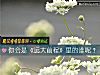 《你會是《遠大前程》裏的誰呢？》测试