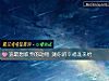 《選最想收養的動物 測你的<i>幸福</i>誰來給》测试