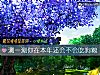 《測一測你在本年還會不會吃狗糧》测试