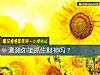 《測測你能抓住財神嗎？》测试