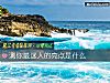 《測你最迷人的亮點是什麼》测试
