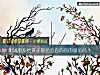 《測試<i>朋友</i>給孩子取名會咨詢你的意見嗎？》测试