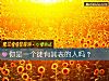 《你是一個徒有其表的人嗎？》测试