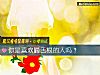 《你是<i>喜歡</i>嚼舌根的人嗎？》测试
