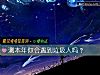 《測本年你會<i>遇到</i>垃圾人嗎？》测试