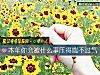 《<i>本年</i>你會被什麼事壓得喘不過氣》测试