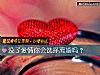 《沒了<i>愛情</i>你會選擇離婚嗎？》测试