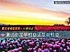 《測試你是單性戀還是雙性戀》测试